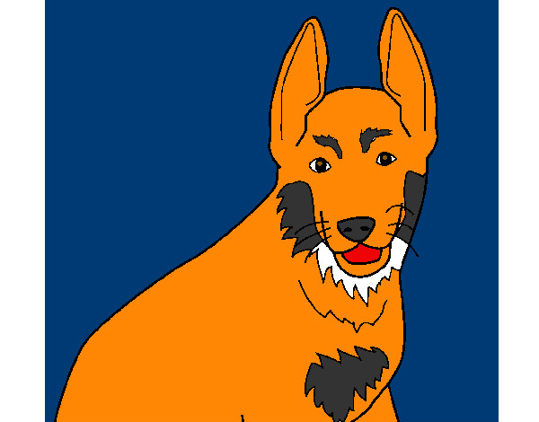 Desenho Cão 4a pintado por Apolo