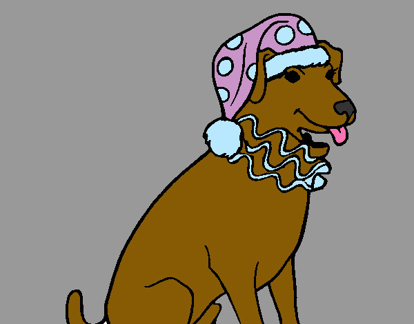 Desenho Cão palhaço pintado por larisa 