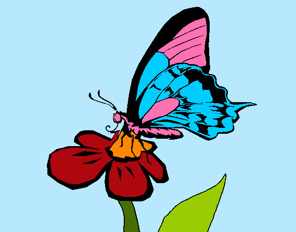 Desenho Borboleta numa flor pintado por clarab