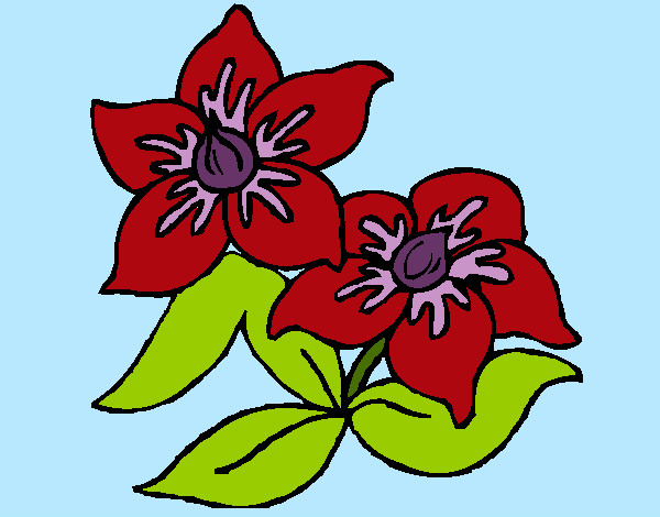 Desenho Flores 3 pintado por clarab