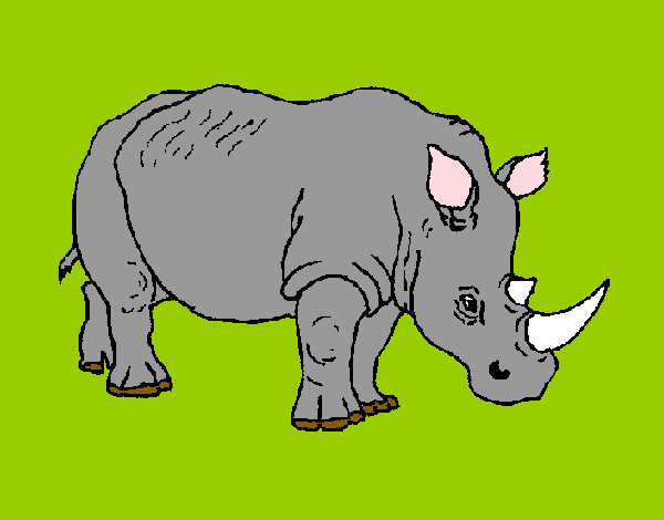 Desenho Rinoceronte 3 pintado por clarab