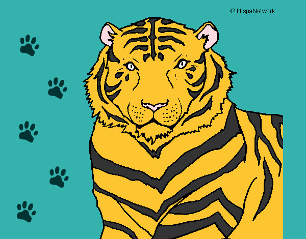 Desenho Tigre pintado por lyta
