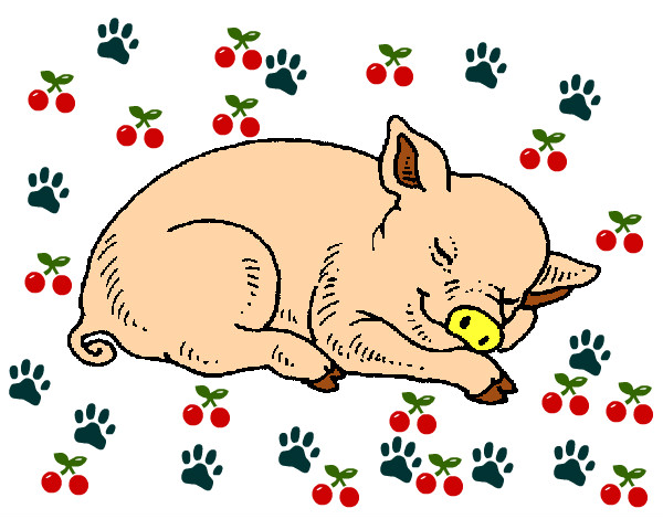 Desenho Porco a dormir pintado por scheila