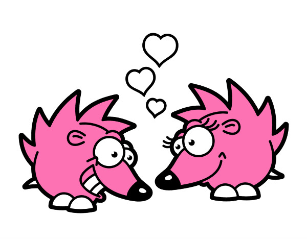 Porco-espinhos apaixonados