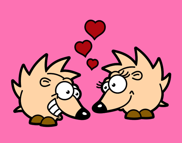 Porco-espinhos apaixonados