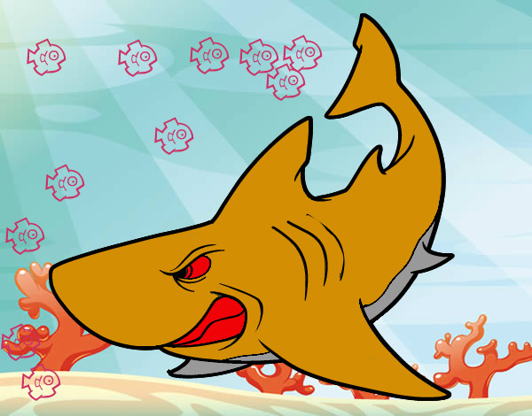 Desenho Tubarão furioso pintado por manuelaa