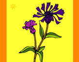 Desenho Flores de campo pintado por mismirim