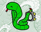 Desenho Cobra com tamborin pintado por hayna7