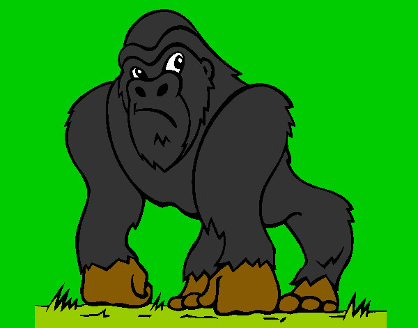 Desenho Gorila pintado por jhonatan9