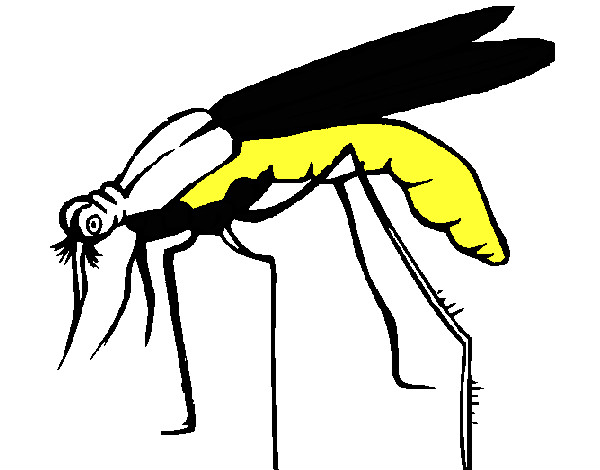 Desenho Mosquito pintado por izabella10