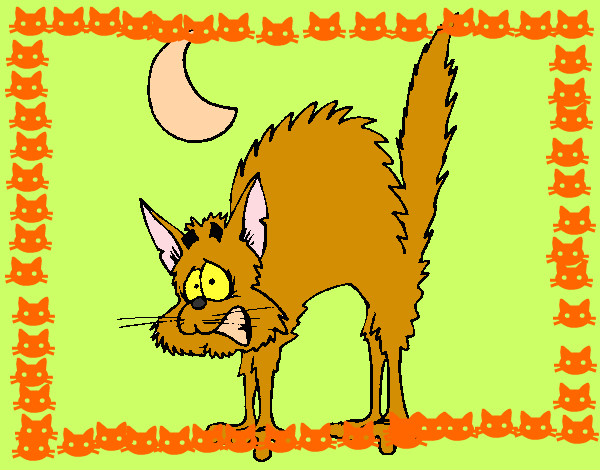Desenho Gato assustado  pintado por gabyy
