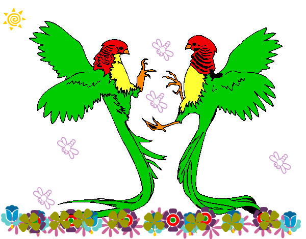 Desenho Aves com caudas grandes pintado por pedro20