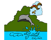 Desenho Golfinho e gaviota pintado por phatty