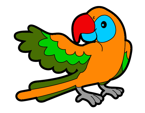Desenho Papagaio abrir a asa pintado por phatty
