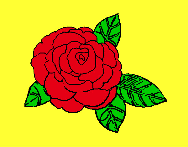 Desenho Rosa pintado por 12346
