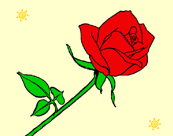 Desenho Rosa pintado por 12346
