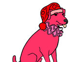 Desenho Cão palhaço pintado por dudaa