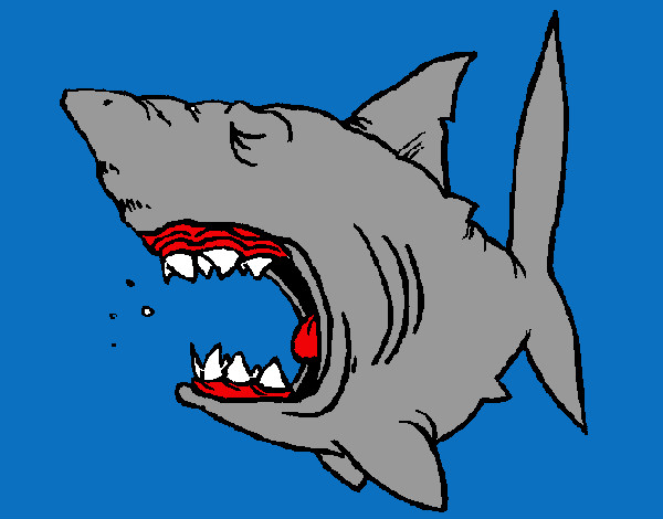 Desenho Tubarão pintado por francis14