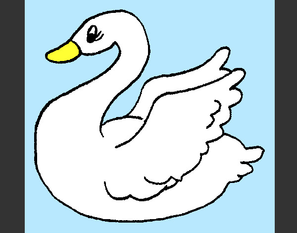 Desenho Cisne pintado por dedezinha