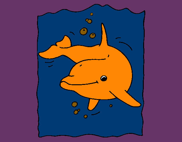 Desenho Golfinho pintado por muriloca