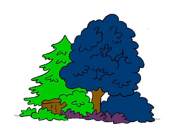 Desenho Bosque pintado por muriloca