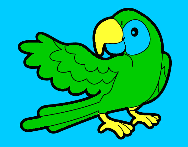 Desenho Papagaio abrir a asa pintado por nick90