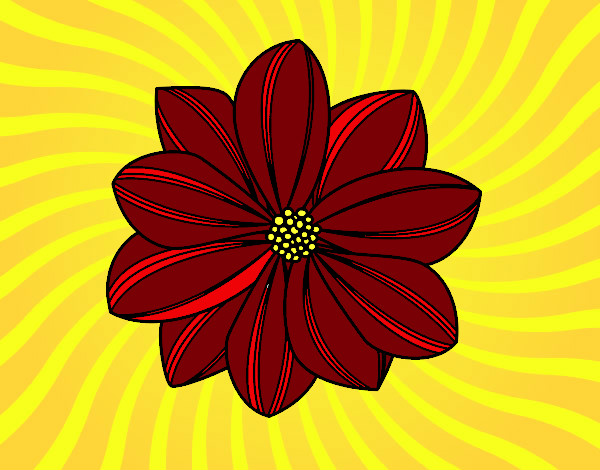 Desenho Flor de margarida pintado por melina321v