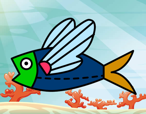 Desenho Peixe voador pintado por fabiof