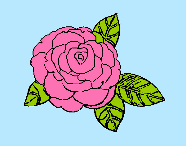 Desenho Rosa pintado por juninhojr