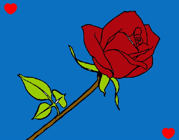Desenho Rosa pintado por YULA