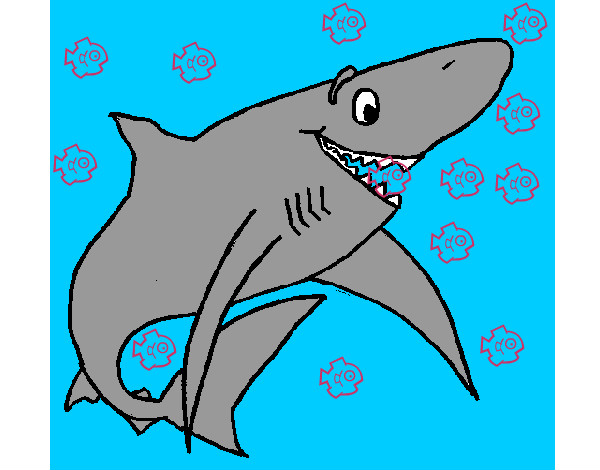 Tiburão alegre