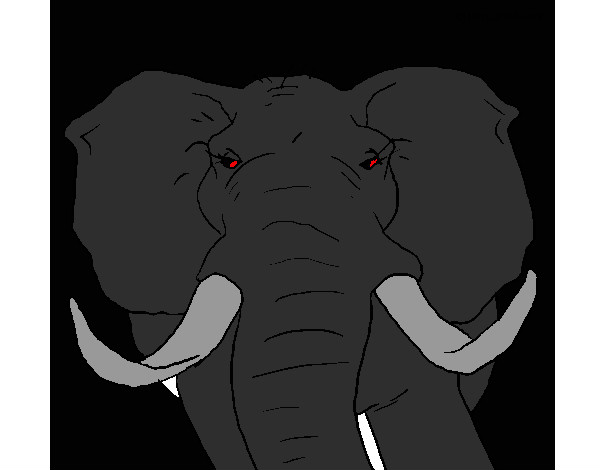 Desenho Elefante africano pintado por CarrieWhit