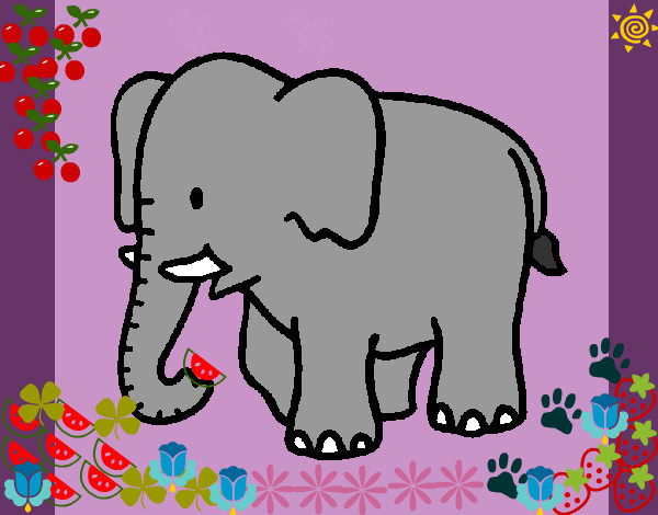 Desenho Elefante bebé pintado por jujuju