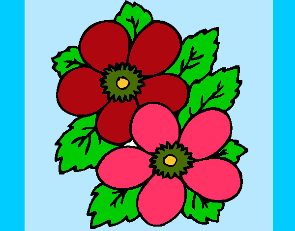 Desenho Flores 1 pintado por marinatica