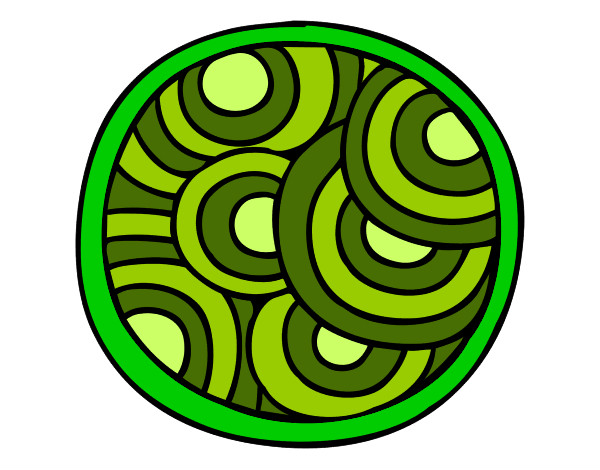 Desenho Mandala circular pintado por Demi