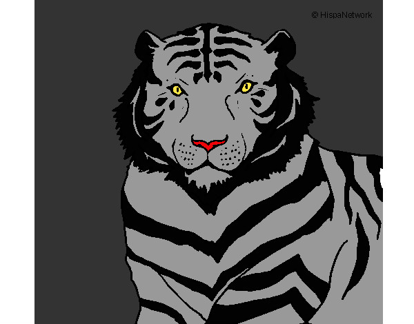 Desenho Tigre pintado por CarrieWhit
