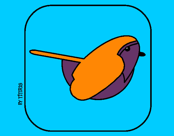 Pássaro II