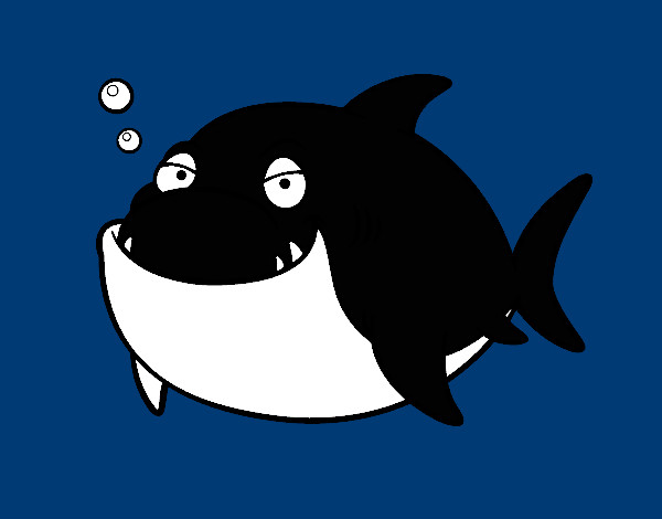 Tubarão-branco