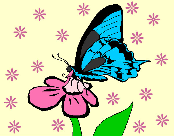 Desenho Borboleta numa flor pintado por Demi