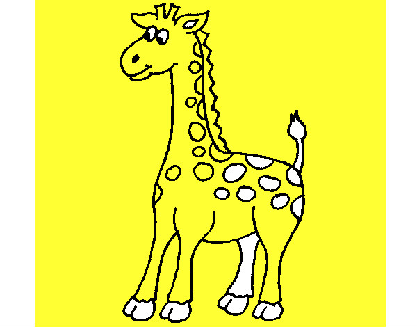 Desenho Girafa 4 pintado por tarik