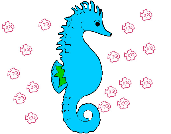Desenho de Cavalo marinho para Colorir - Colorir.com