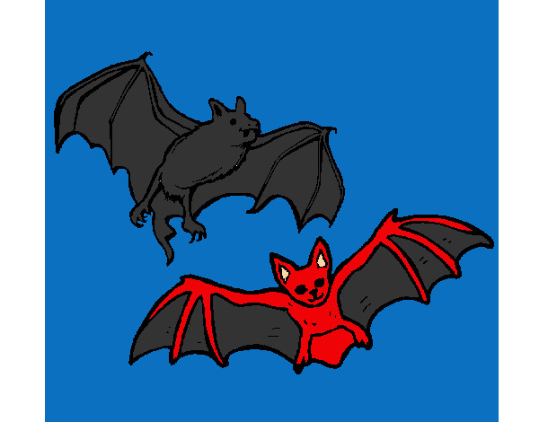 Desenho Um par de morcegos pintado por bibiella