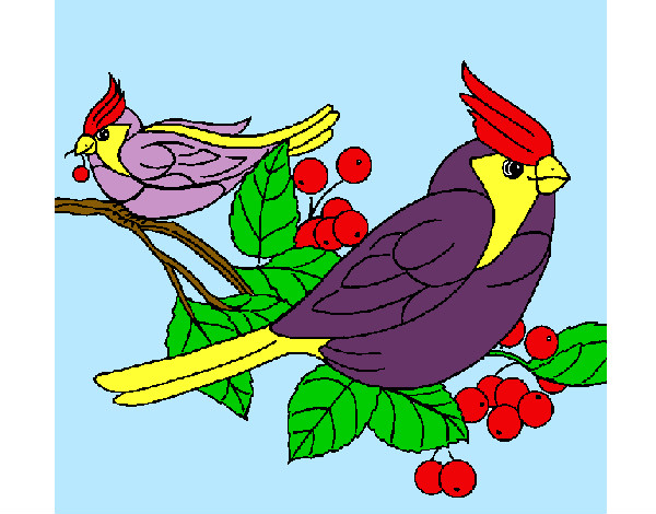 Desenho Pássaros pintado por ana23