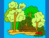 Desenho Bosque pintado por julials