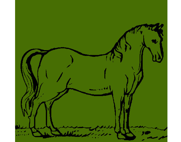 Desenho Cavalo andaluz pintado por Elenryrr