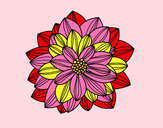Desenho Flor de dahlia pintado por Vera30