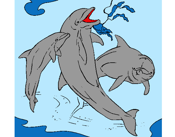 Desenho Golfinhos a brincar pintado por Jardel508