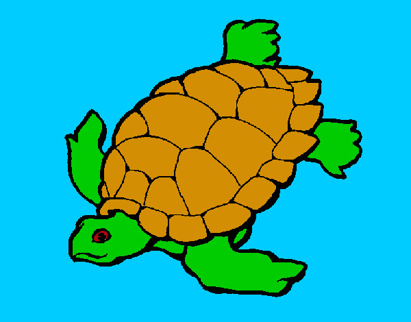 Desenho Tartaruga pintado por fabiof
