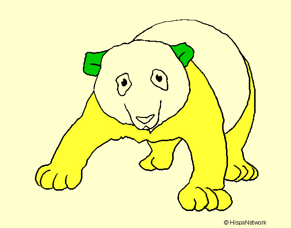 Desenho Urso panda pintado por 0000000000
