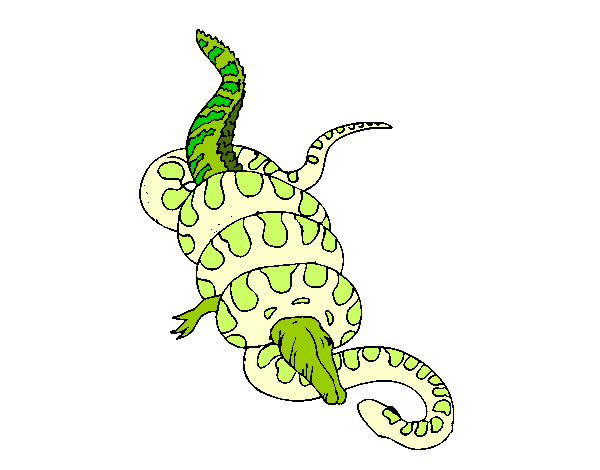 Desenho Anaconda e jacaré pintado por Jardel508
